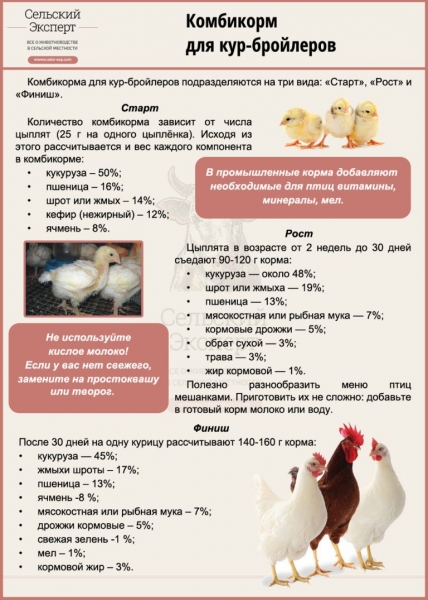 Корм для бройлеров с первых дней жизни