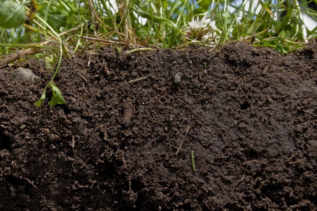 Основные виды почвогрунта